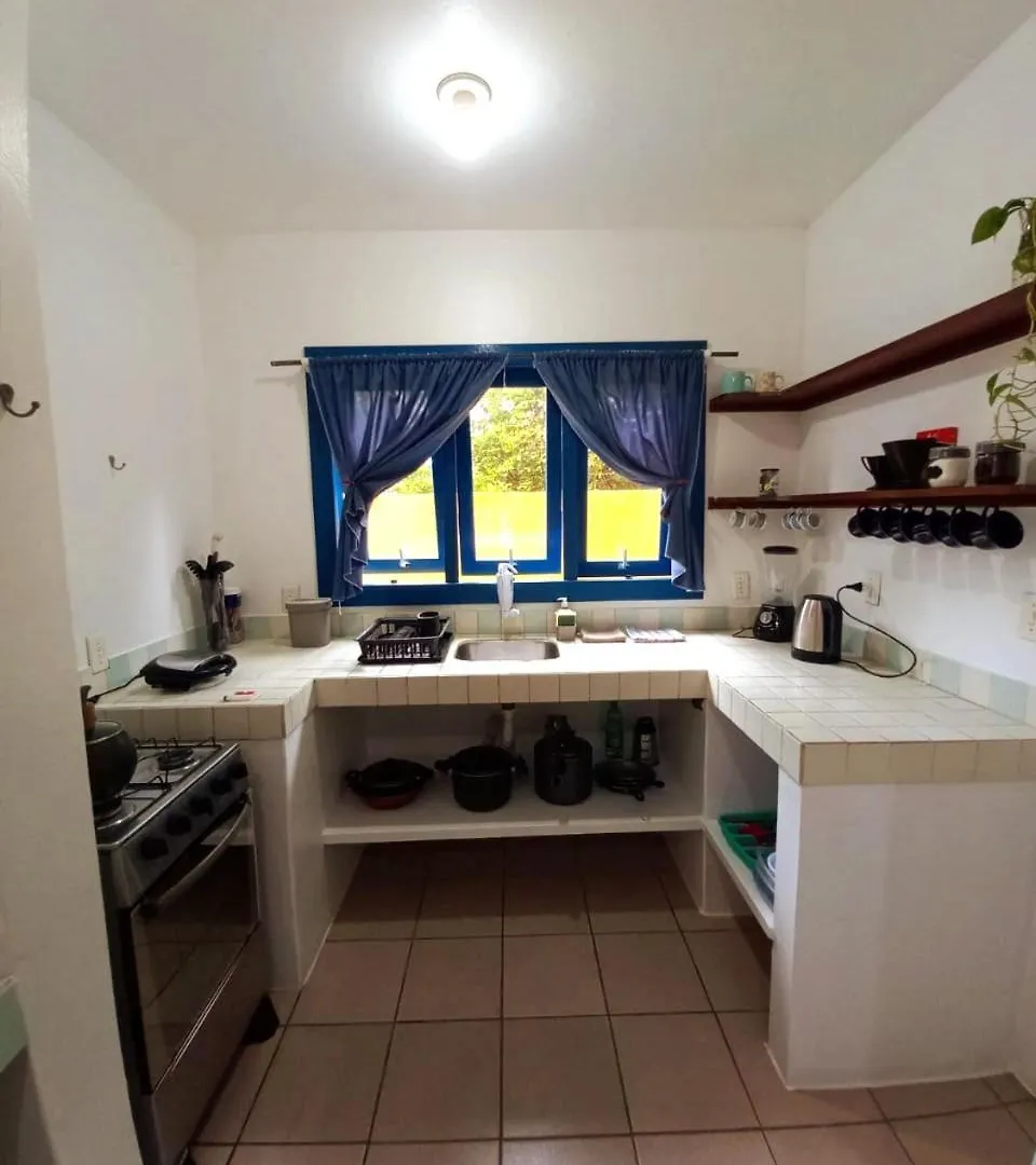 Apartment Apartamento Bromelias Garopaba Brazil